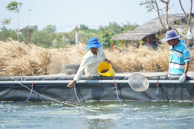 Chiến lược thúc đẩy sự thèm ăn của tôm thẻ chân trắng